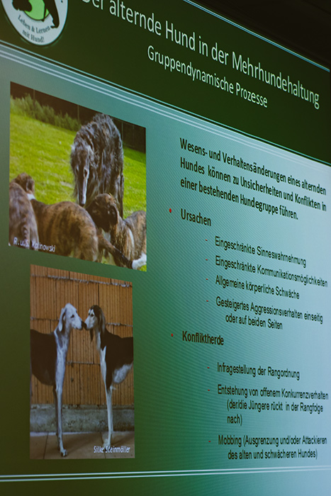 Der Vortrag von Kathrin Korthauer über die Verhaltensänderung bei alternden Hunden war höchst interessant.