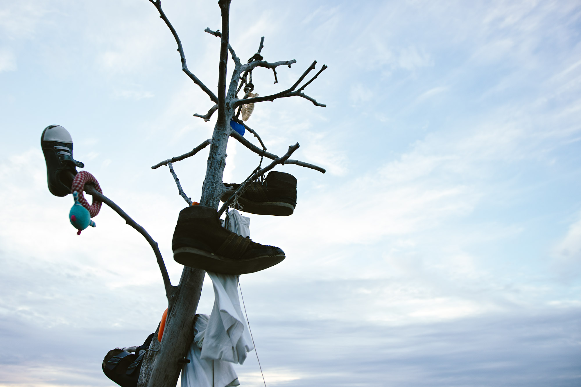 Der Baum der verlorenen Sachen in Noordwijk. Hier hängen Menschen Dinge auf, die andere am Strand verloren haben. Das fand ich sehr süß!