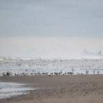 Im Norden sieht man Zandvoort.