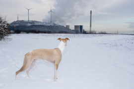 Experimentier mir! Blitzen im Schnee