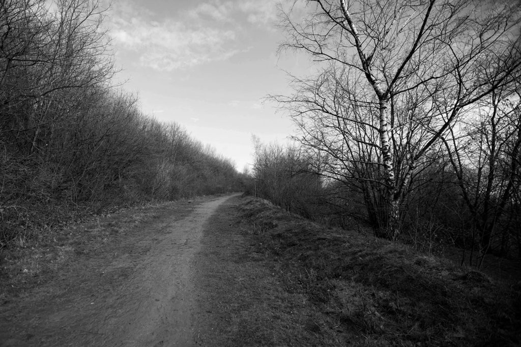 Der Weg. Zwischen Glück und Horror