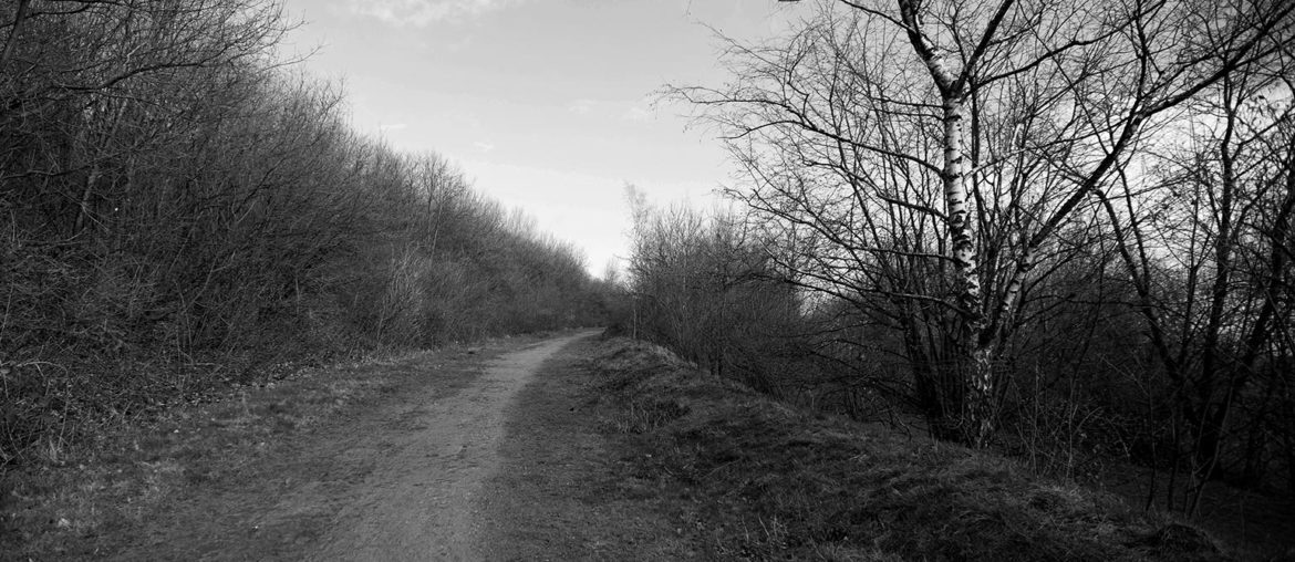 Der Weg. Zwischen Glück und Horror