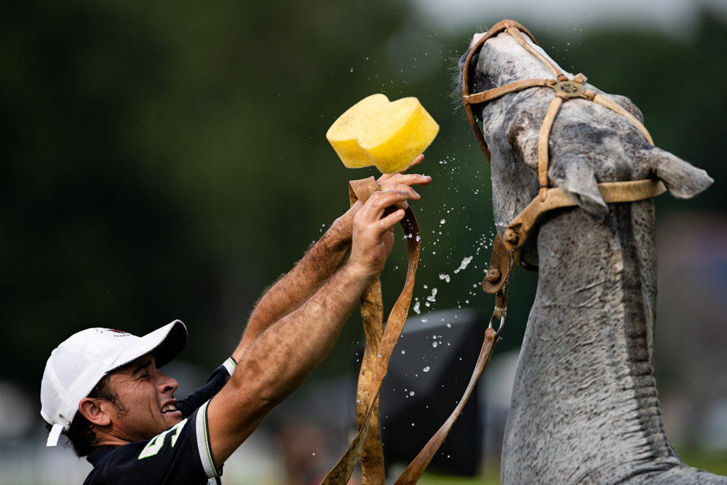 Wenn das "Best Pony" mal nicht so will wie der Groom. 