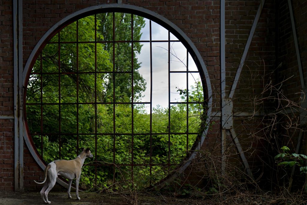 Dieses Fenster in einem alten Förderturm habe ich schon gefühlt hundert mal fotografiert. Mit der Leica Q2 sieht es anders aus.