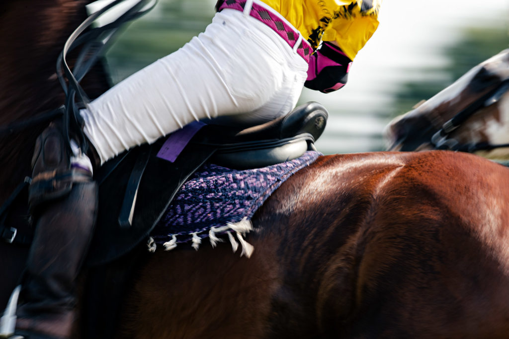 Der Pink Ribbon Ladies Polo Cup 2019