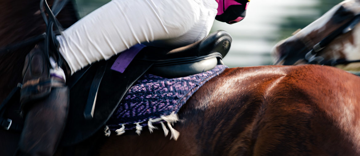 Der Pink Ribbon Ladies Polo Cup 2019