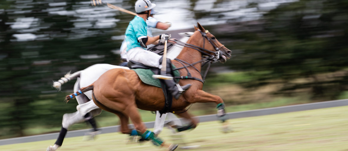 Die Rhein Polo Open 2019