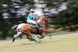 Wild – Das Rhein Polo Open 2019