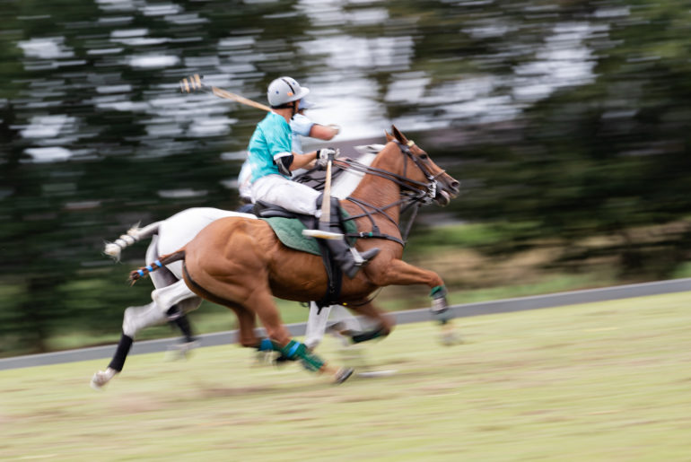 Die Rhein Polo Open 2019