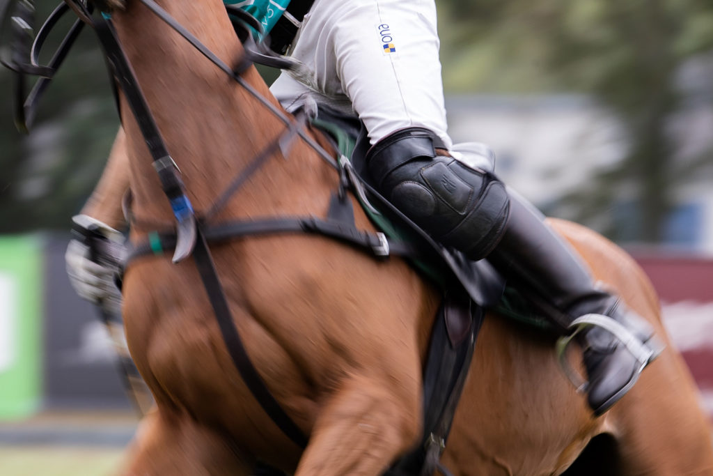 Die Rhein Polo Open 2019