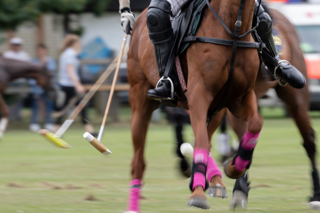 Schöne Details beim Rhein Polo Open 2019