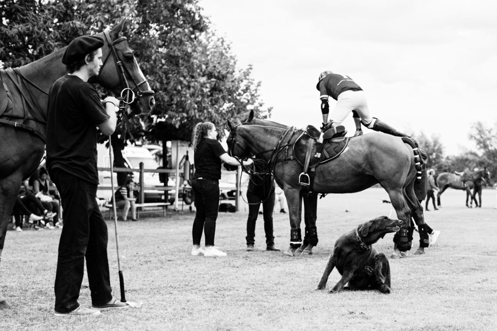 Pferdewechsel beim Rhein Polo Open 2019