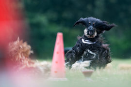Test: Das Canon EF 400mm 1:2,8L IS III USM