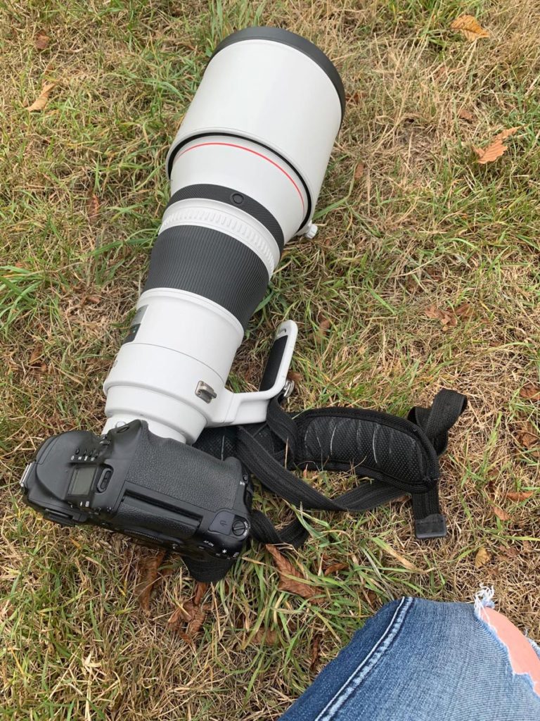 Test: Das Canon EF 400mm 1:2,8L IS III USM