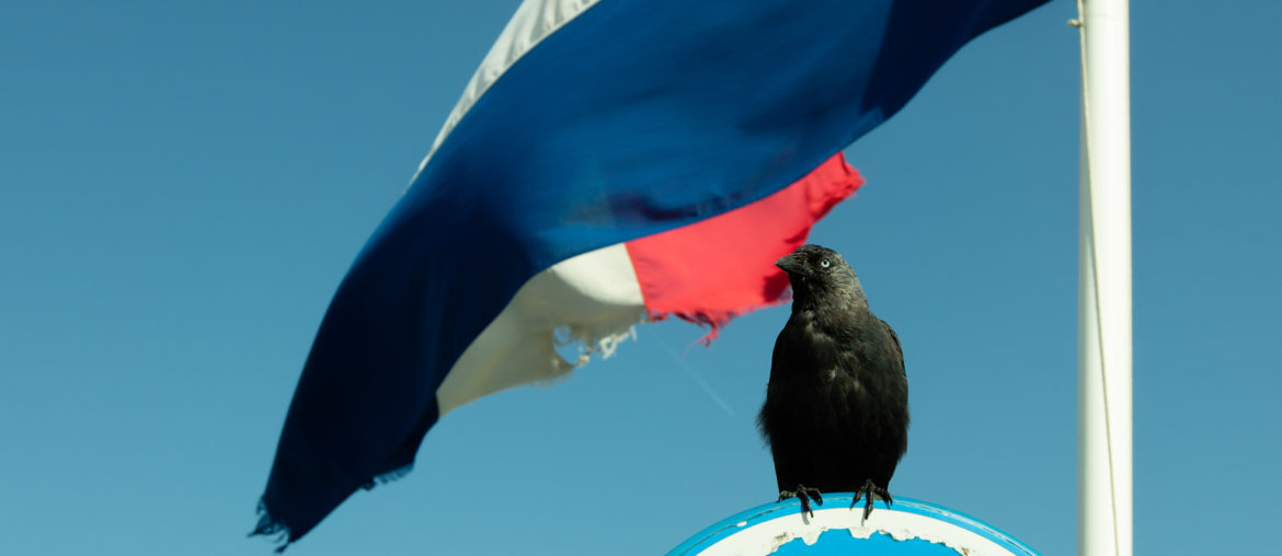 Sogar die Niederländische Flagge ist hinüber. Die kleinen, frechen Dohlen gehören übrigens ebenso zu Zandvoort wie der allgegenwärtige Backfischdunst.