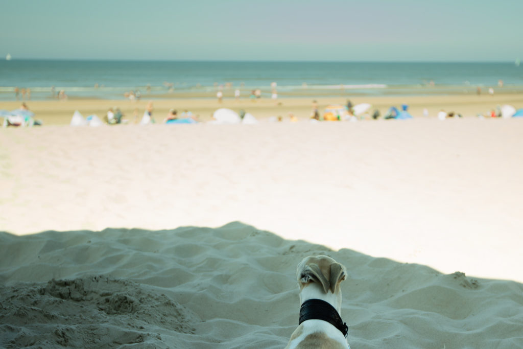 Zandvoort aan Zee - Schön scheußlich!