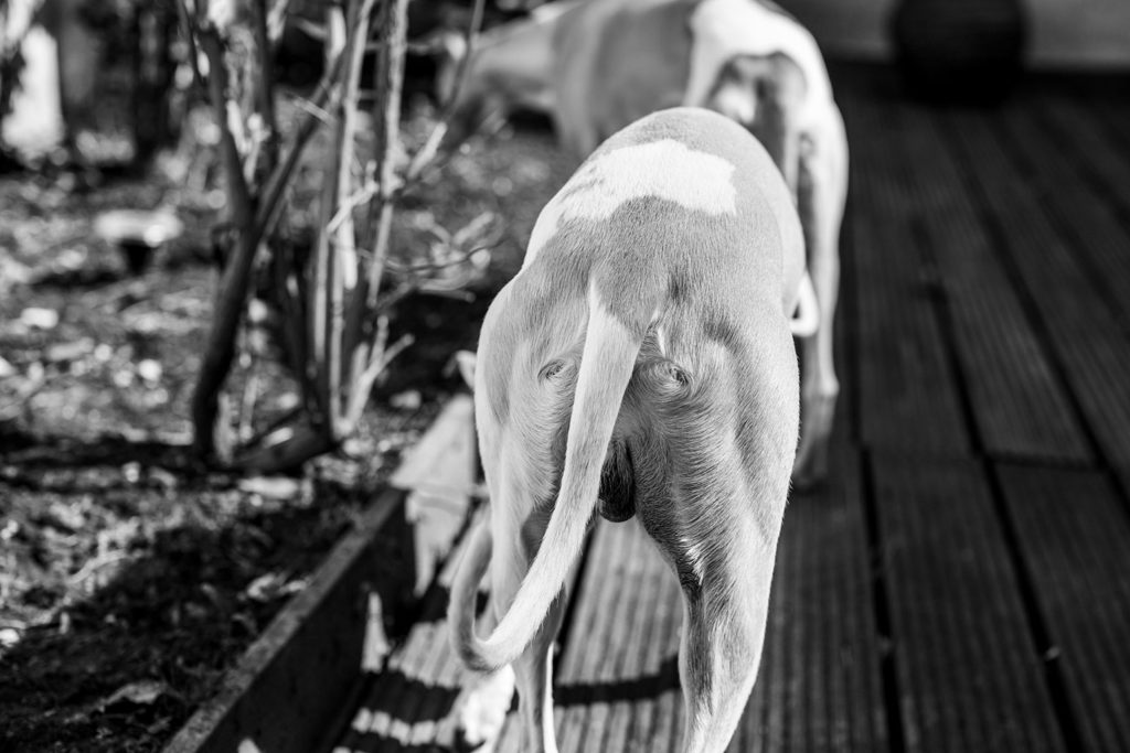 Meandern zwischen Licht und Schatten