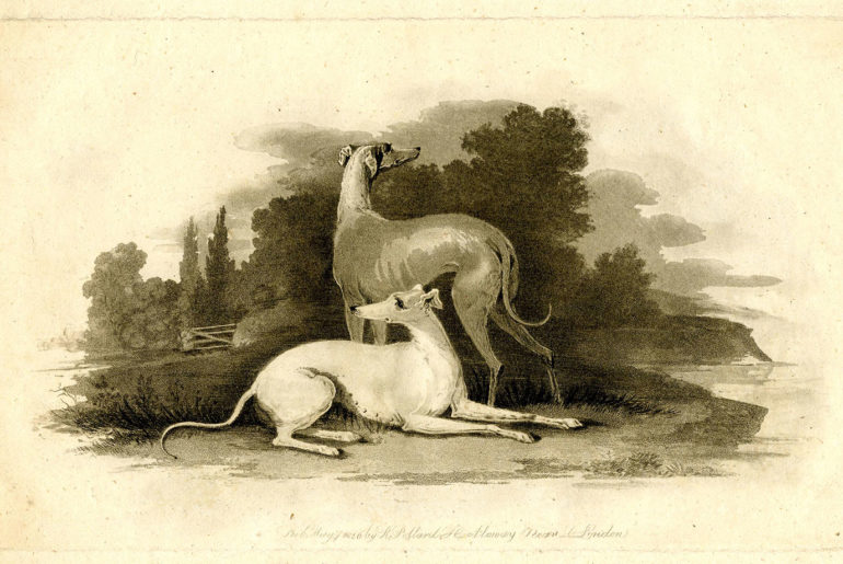 Foto: © The Trustees of the British Museum, Robert Pollard, Aquatinta, England 1816