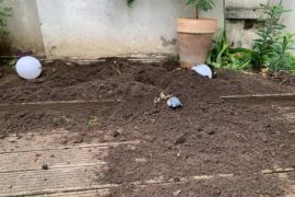 Hier werdet ihr geholfen!